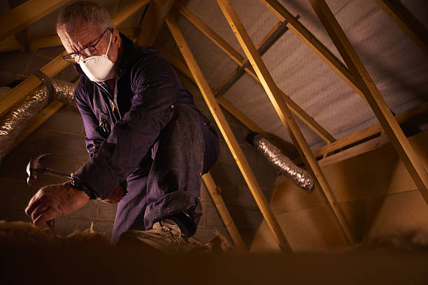 Best Fiberglass Insulation  in La Mirada, CA